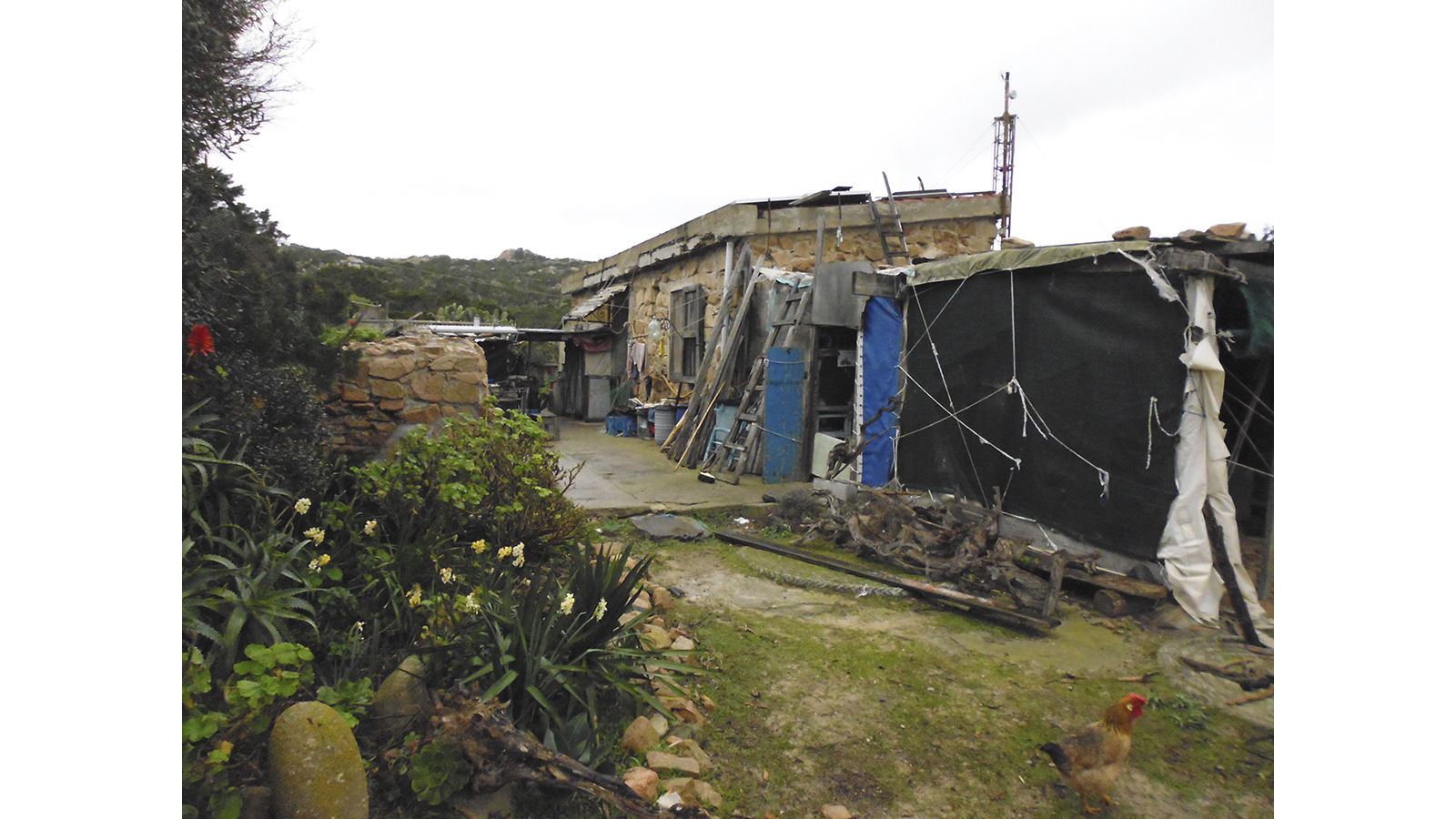 Morandi's Shack